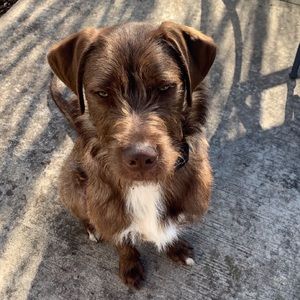 Meet your Posher, Jackson